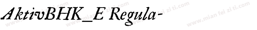AktivBHK_E Regula字体转换